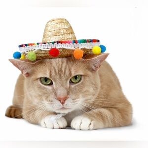 NWT - Sombrero Hat for Dogs & Cats